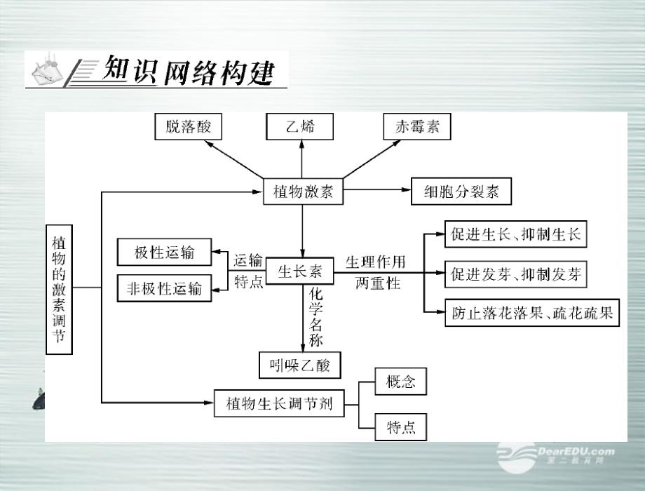 【高考风向标】（广东专用）2013版高考生物第一轮总复习 第3章 章末知识整合 课件 新人教版必修3_第2页