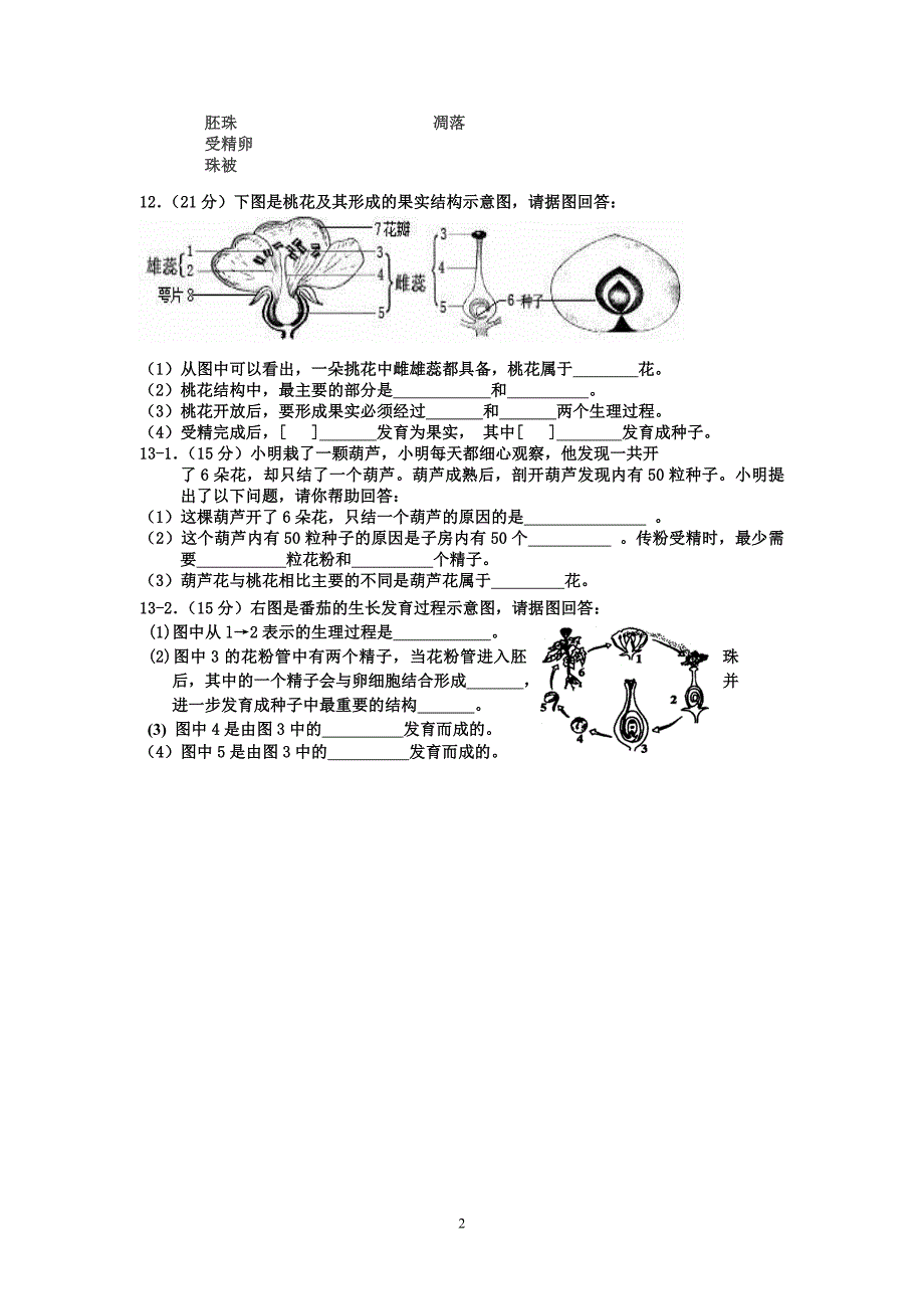 花的结构类型、传粉和受精过程、果实和种子的形成_第2页