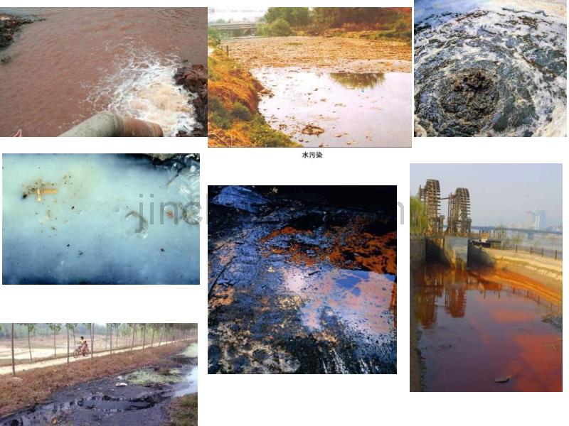 教科版科学六下《污水和污水处理》ppt课件_第4页