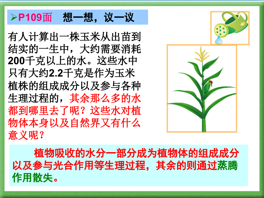 第三单元.第三章.绿色植物与生物圈的水循环_第3页