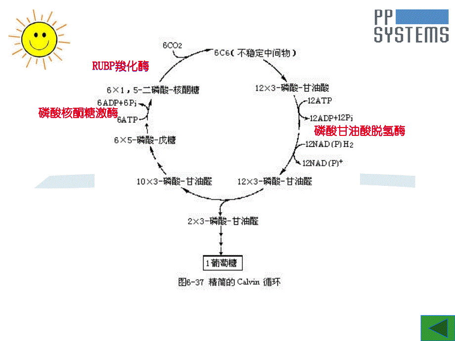 如何测得有效光合数据及仪器使用中注意事项_第3页