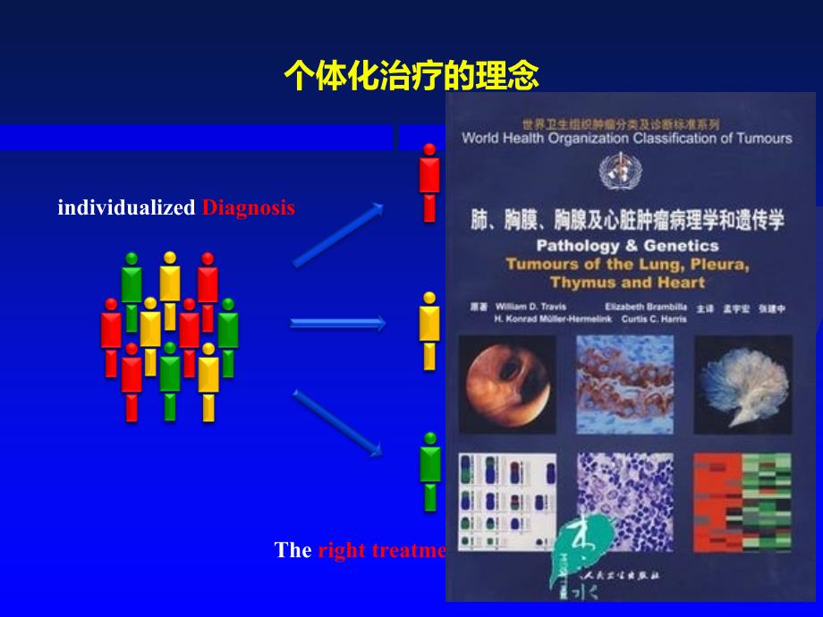 基因检测与肿瘤个体化治疗 ppt课件_第3页