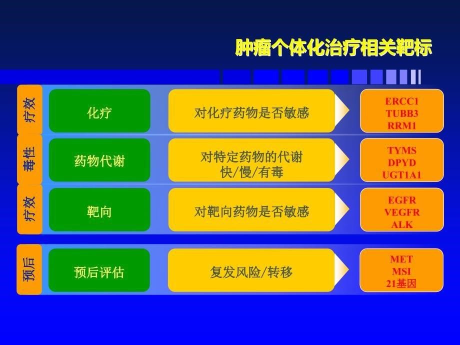 基因检测与肿瘤个体化治疗 ppt课件_第5页