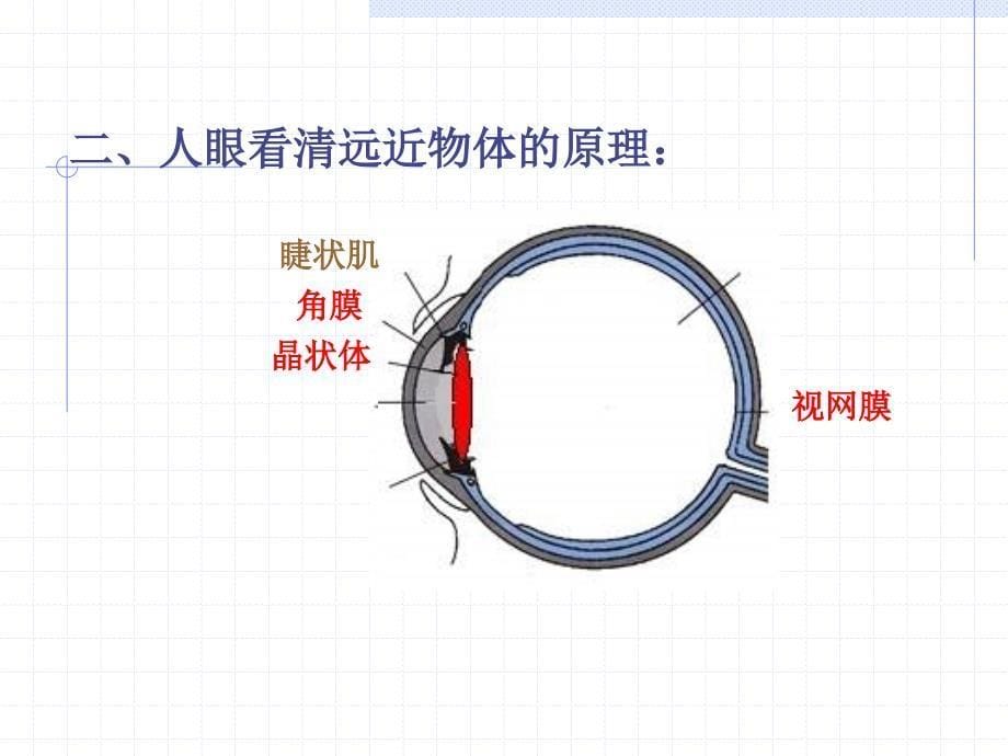 八年级物理眼睛和眼镜课件_第5页