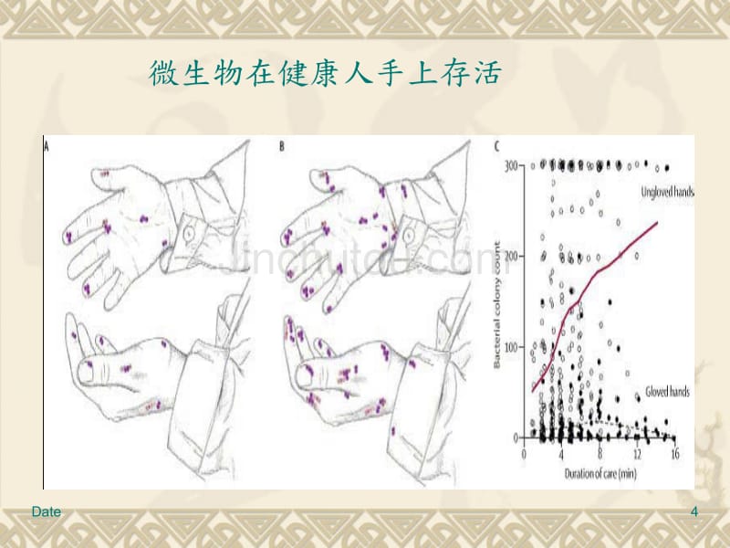 大学生生活方式与健康_第4页