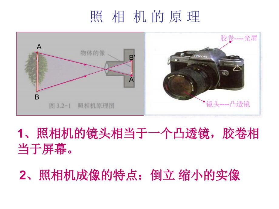 八年级物理生活中的透镜3_第4页