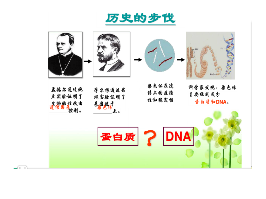 高二上期末考前复习(人教版高中生物必修二第三章-必修三第二章)知识整理_第3页