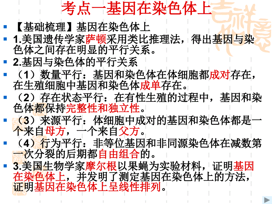 伴性遗传高三一轮复习课件（精）_第3页