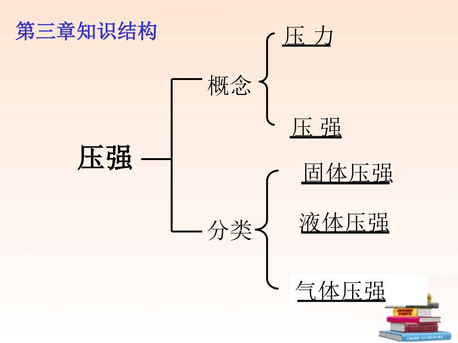 九年级物理 《 压力与压强》中考复习课件 人教新课标版_第2页