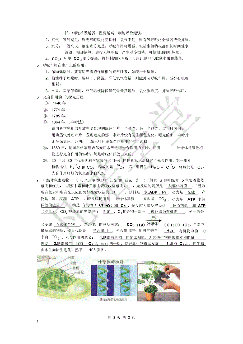 高考生物知识点---光合作用和呼吸作用_第2页