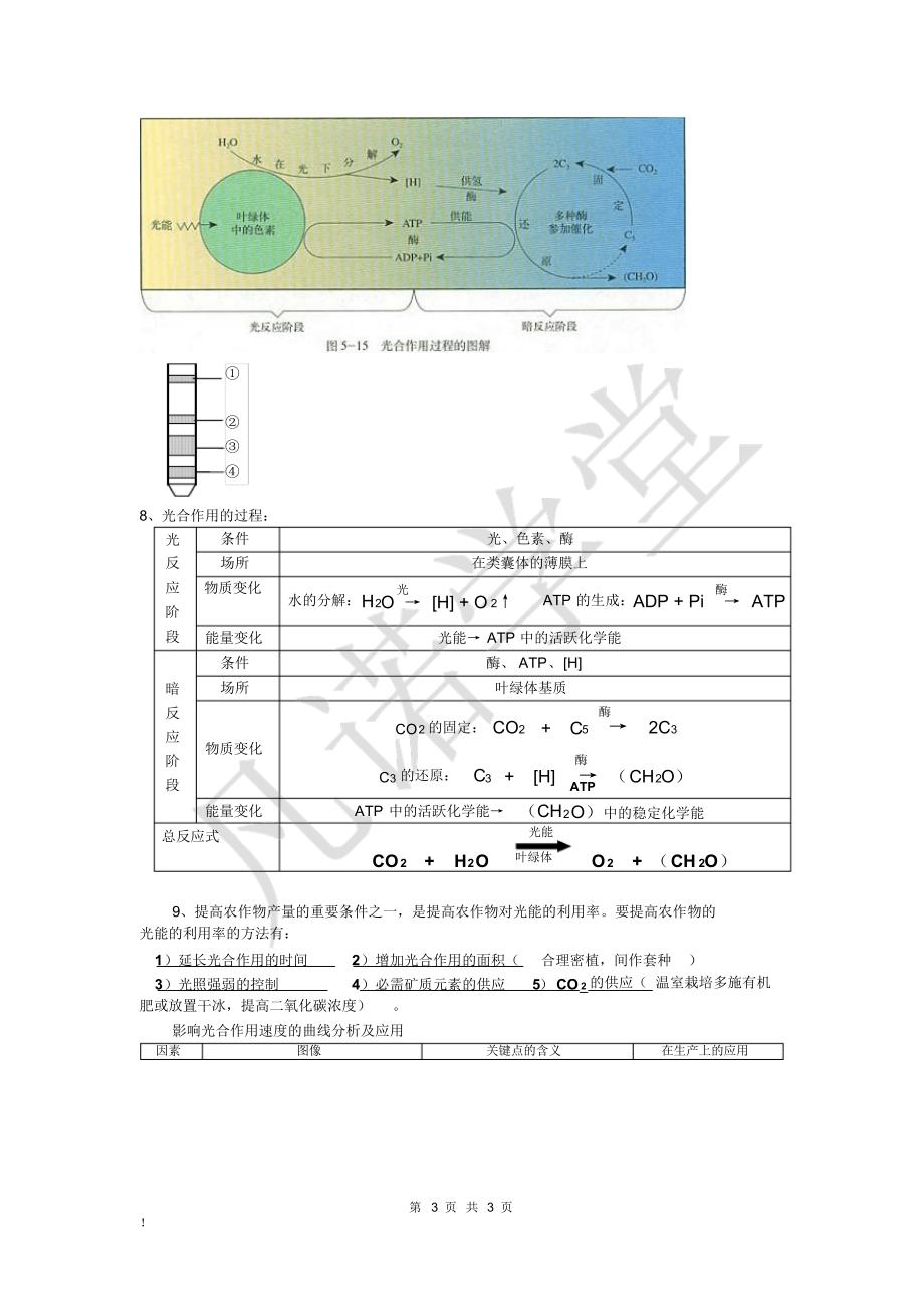 高考生物知识点---光合作用和呼吸作用_第3页