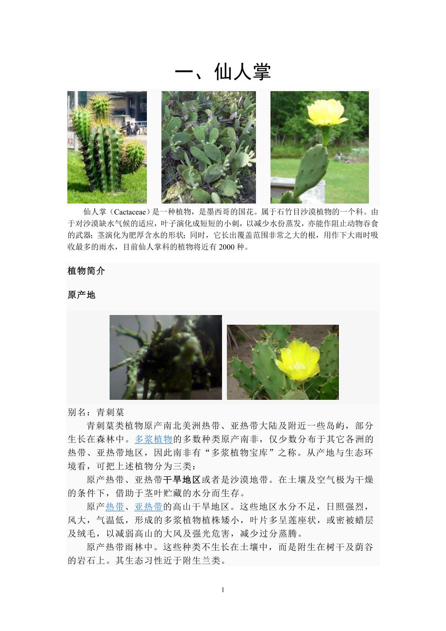 花卉百科：仙人掌、蟹爪莲、沙漠玫瑰_第1页