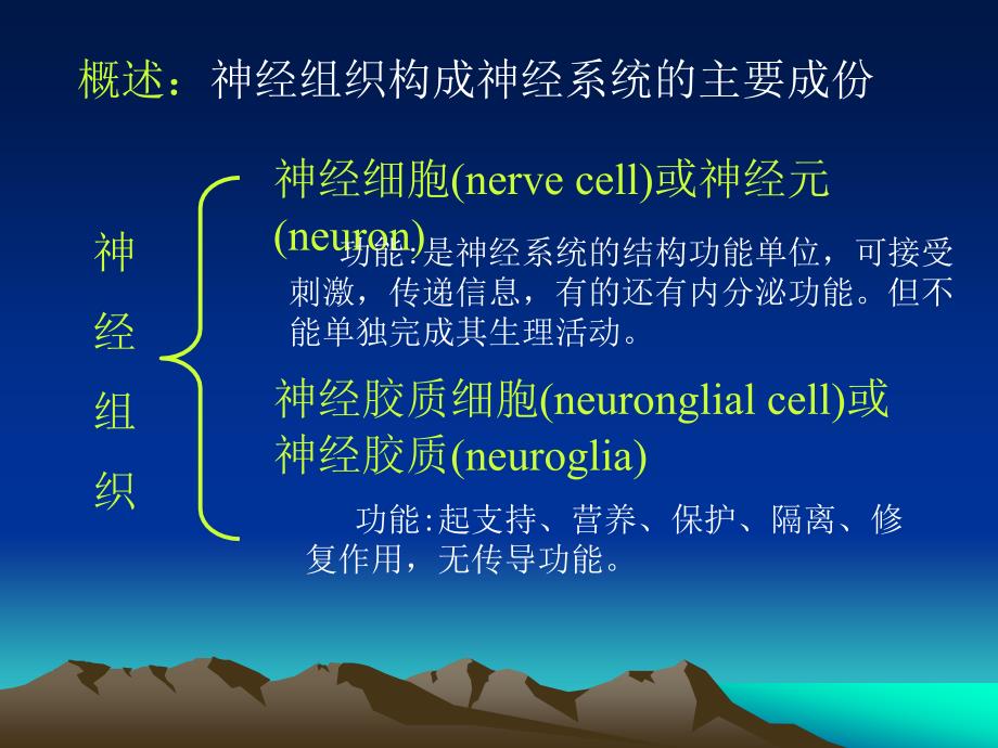 第七章 神经组织_第3页