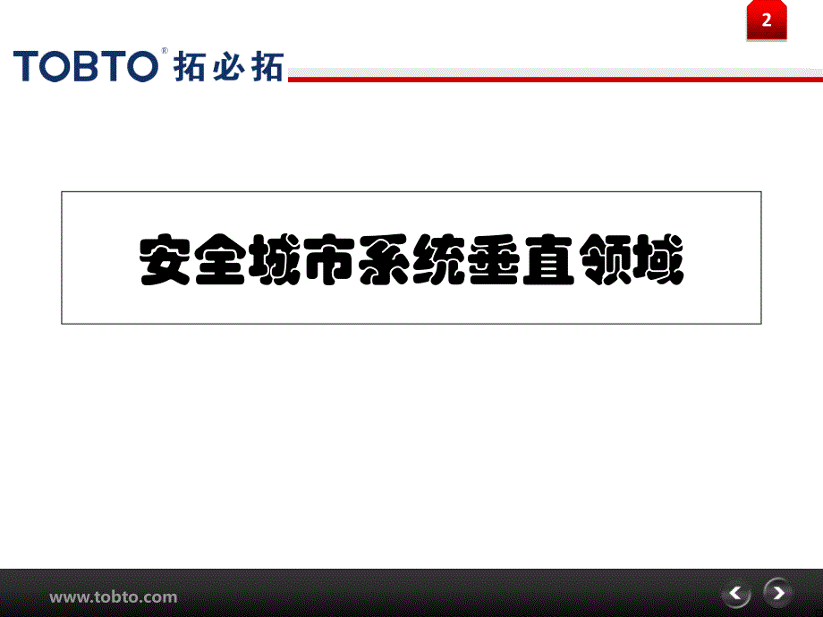 安全城市系统垂直领域_第2页