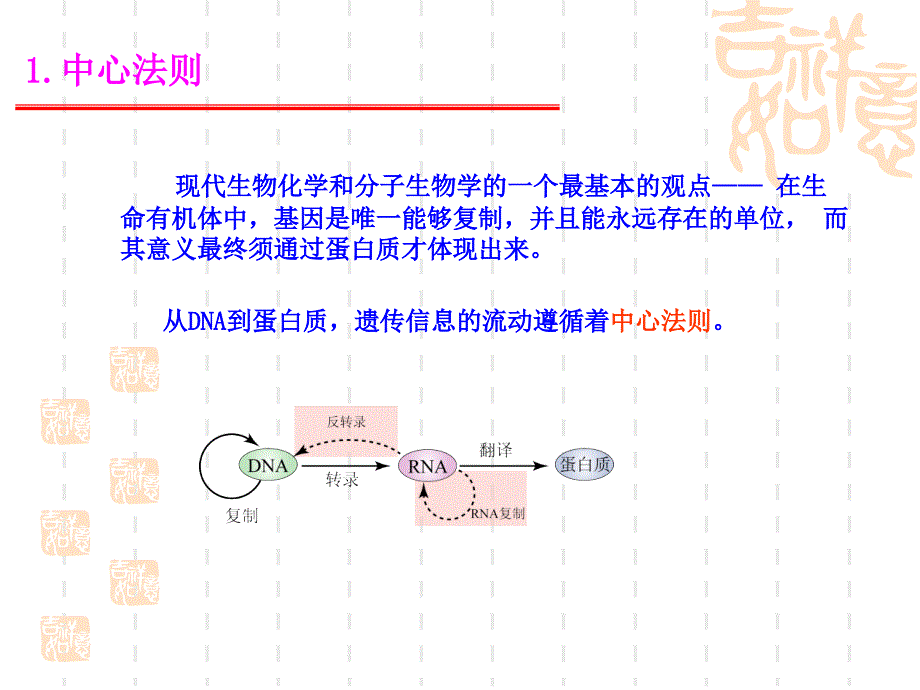 南京农大动物生物化学课件13_第4页