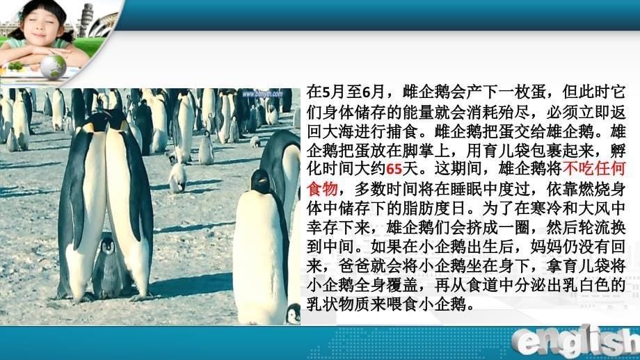 小学生生命安全教育《珍爱生命,快乐成长》_图文_第5页