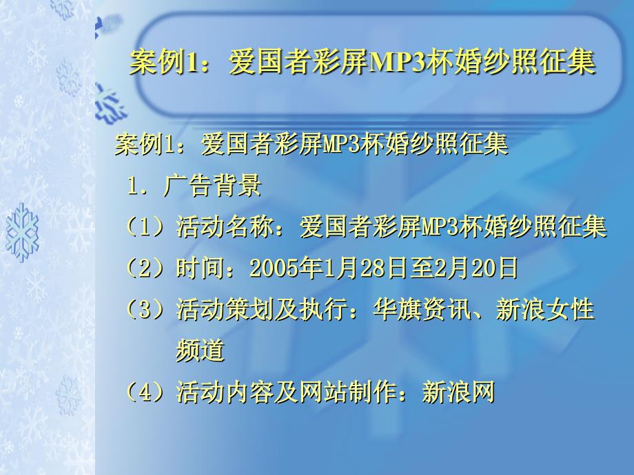 网络广告营销成功案例介绍_第2页