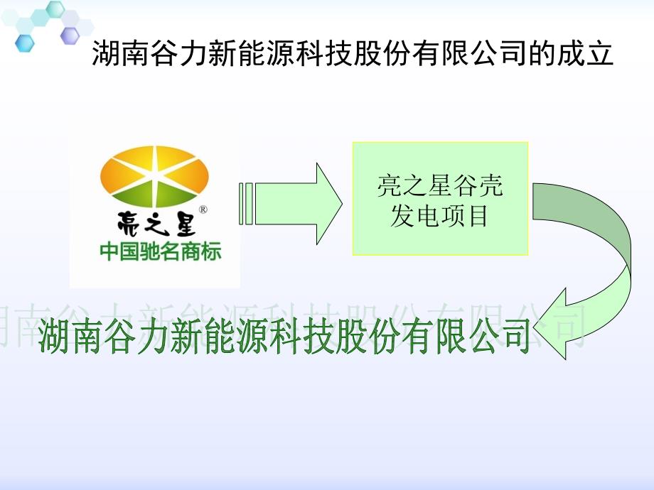 谷力发债路演ppt_第4页