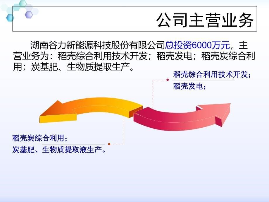 谷力发债路演ppt_第5页