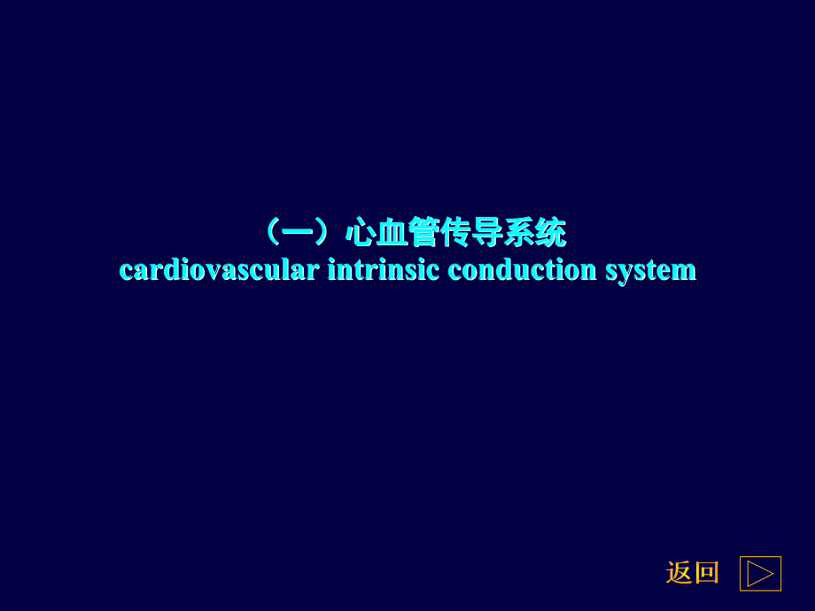 心电图学教学PPT(彩图完整版、免积分、完美奉献!)_第4页