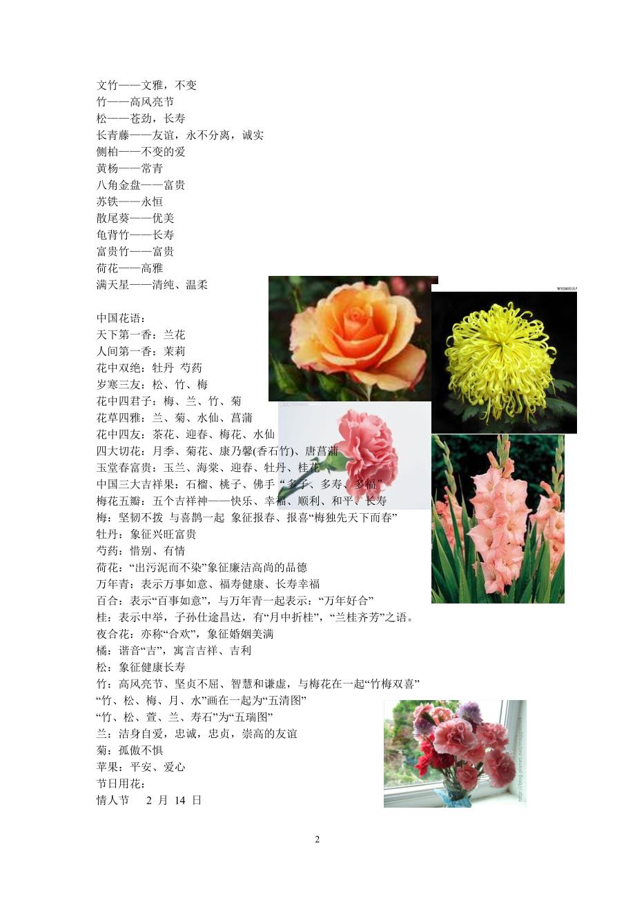 几乎所有花所传达的意义_第2页