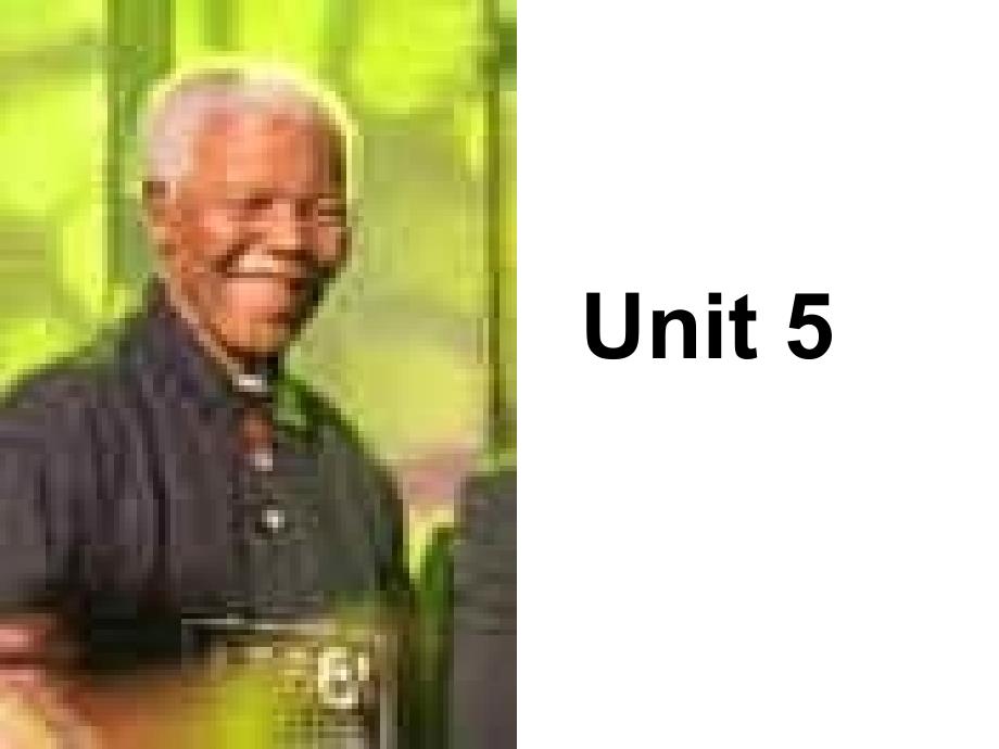 高三英语 一轮复习课件 Book 1  Unit 5  Nelson Mandela-a modern hero_第1页