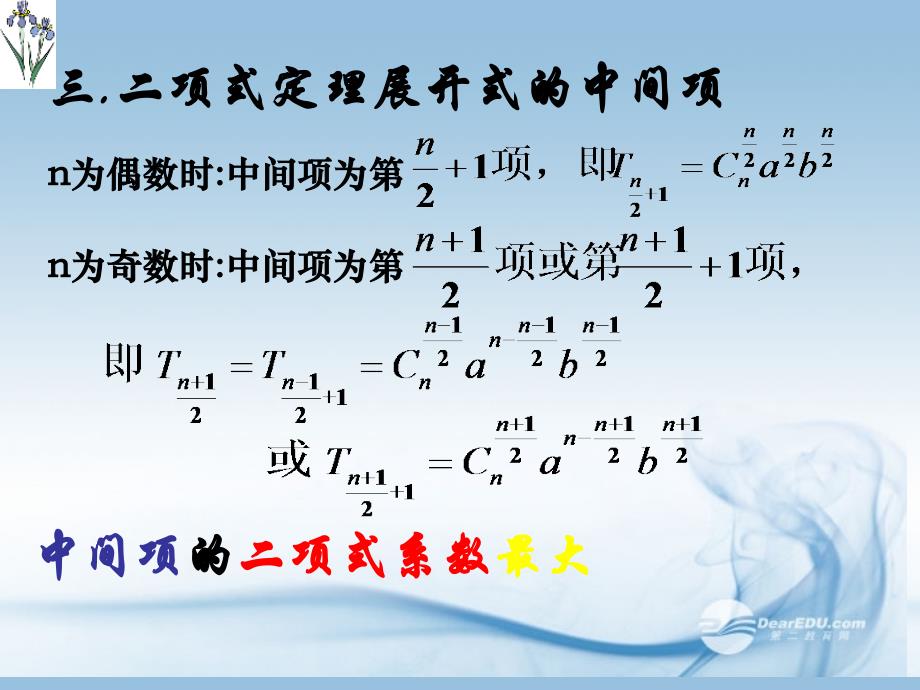 贵州省遵义市私立贵龙中学高三数学总复习 二项式定理应用课件 新人教A版 _第3页