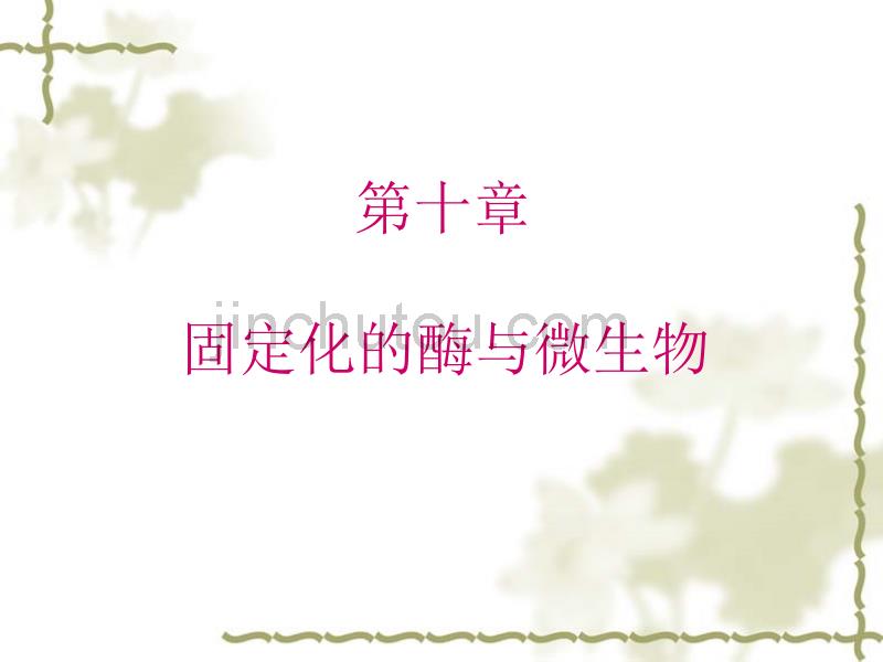 生物化学技术10  固定化的酶与微生物_第1页