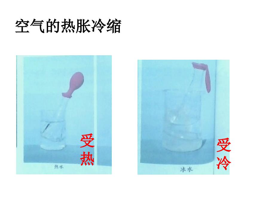 五下科学第二单元作业本上的题目_第4页