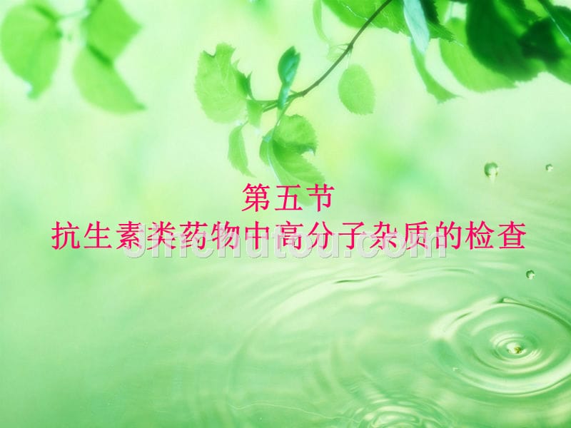 第五节抗生素类药物中高分子杂质的检查_第1页