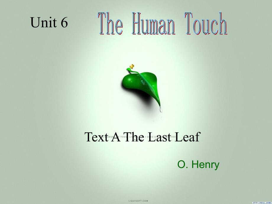 英语PPT之unit_6_the_last_leaf_第1页