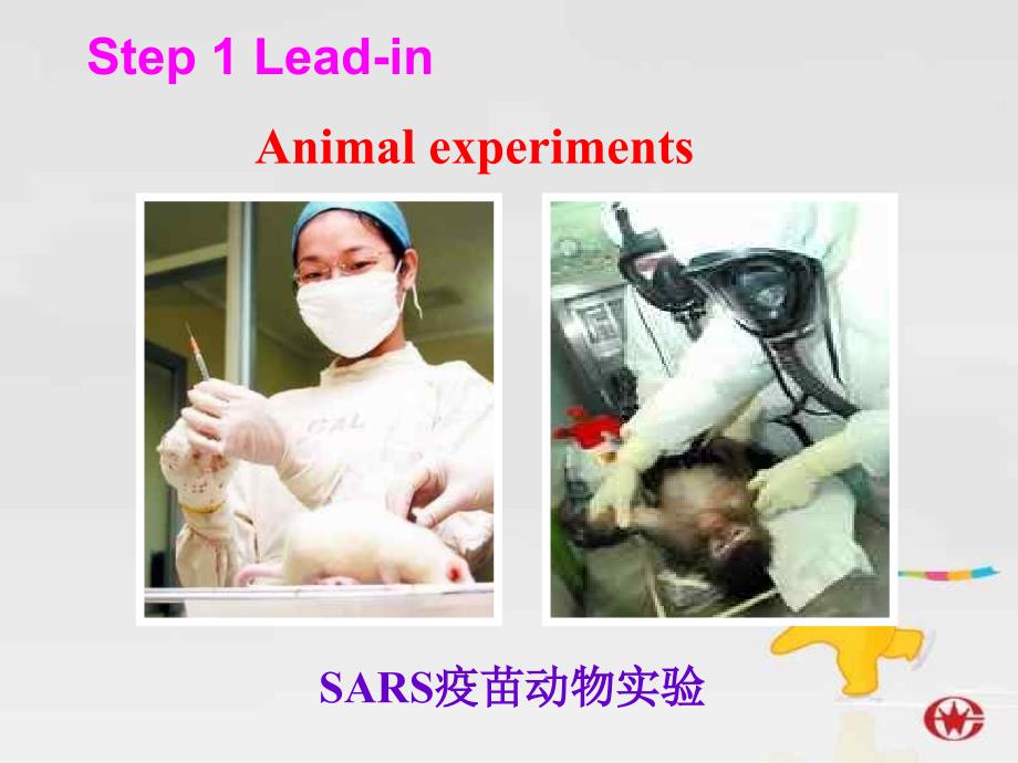 高一英语课件：Animal experiments Integrating skills_第2页