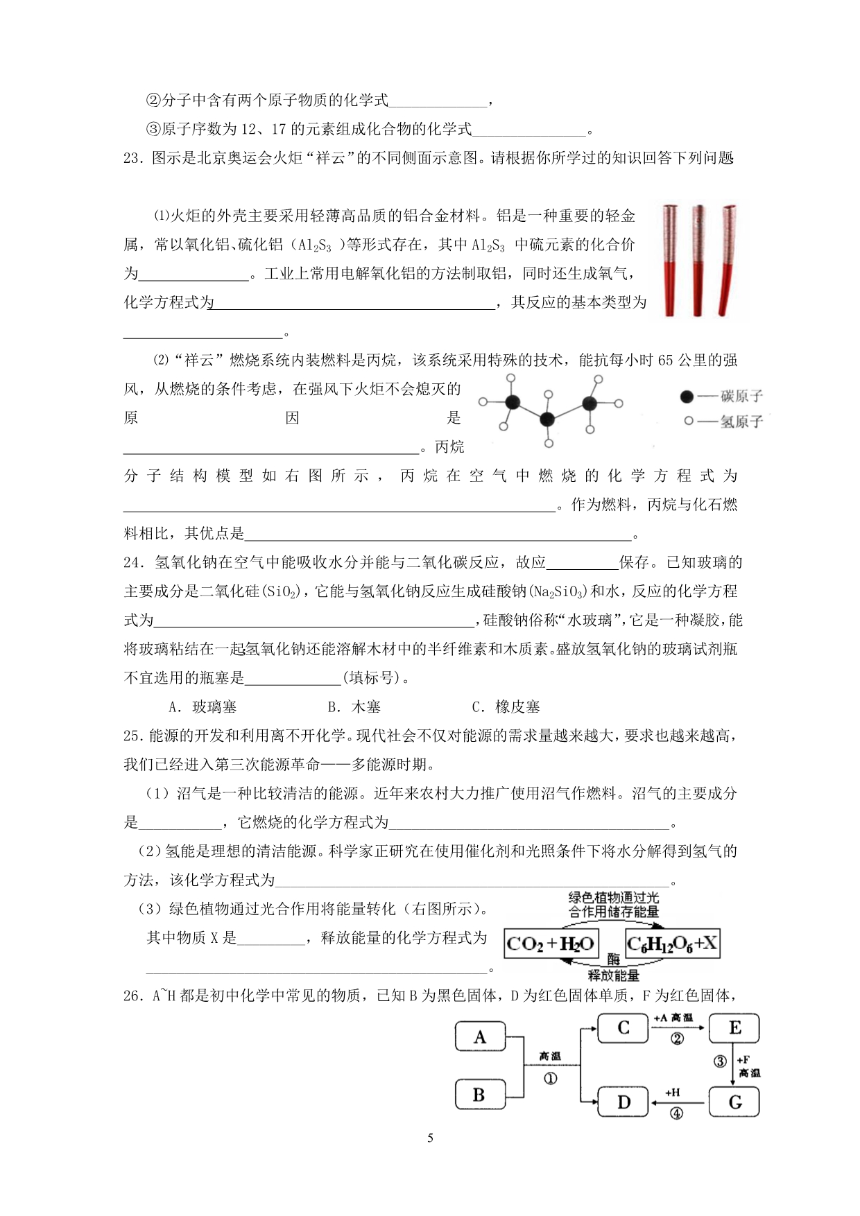 泰兴市洋思中学初三化学模拟试卷_第5页