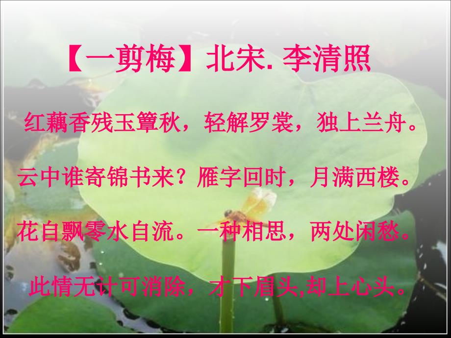 福建省福清市红博中学八年级语文 诗情画意系列51 荷课件_第4页