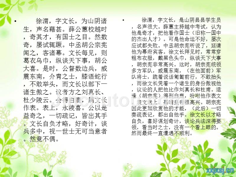 徐渭字文长阅读练习及翻译_第2页