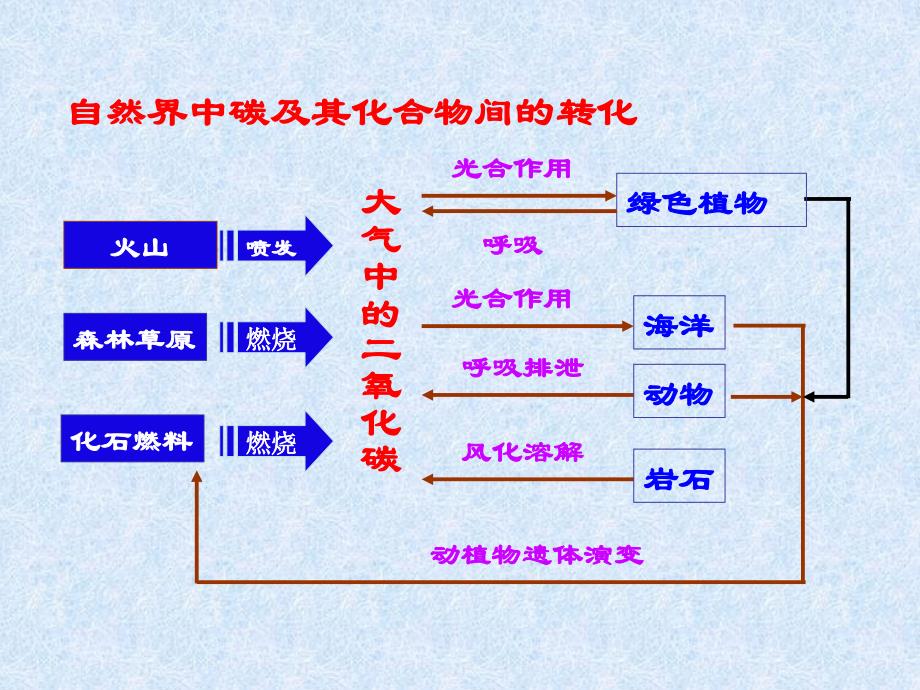 高中化学：碳及其化合物间的转化 (2)_第4页