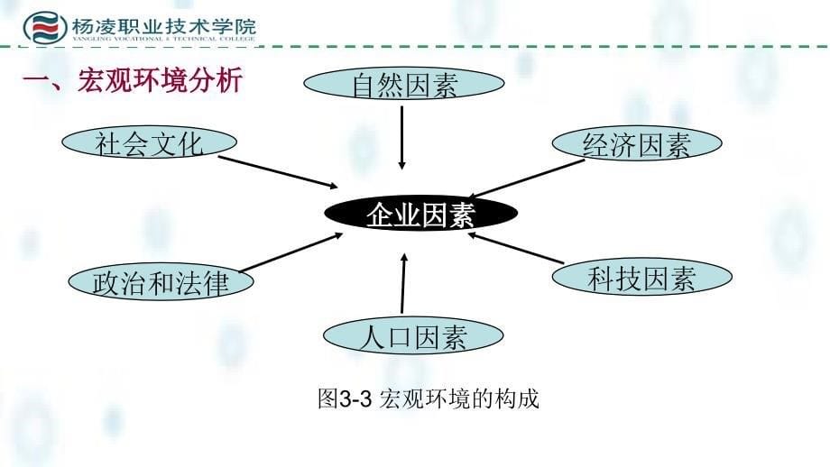 市场营销实务课件：项目3营销环境与企业战略分析_第5页