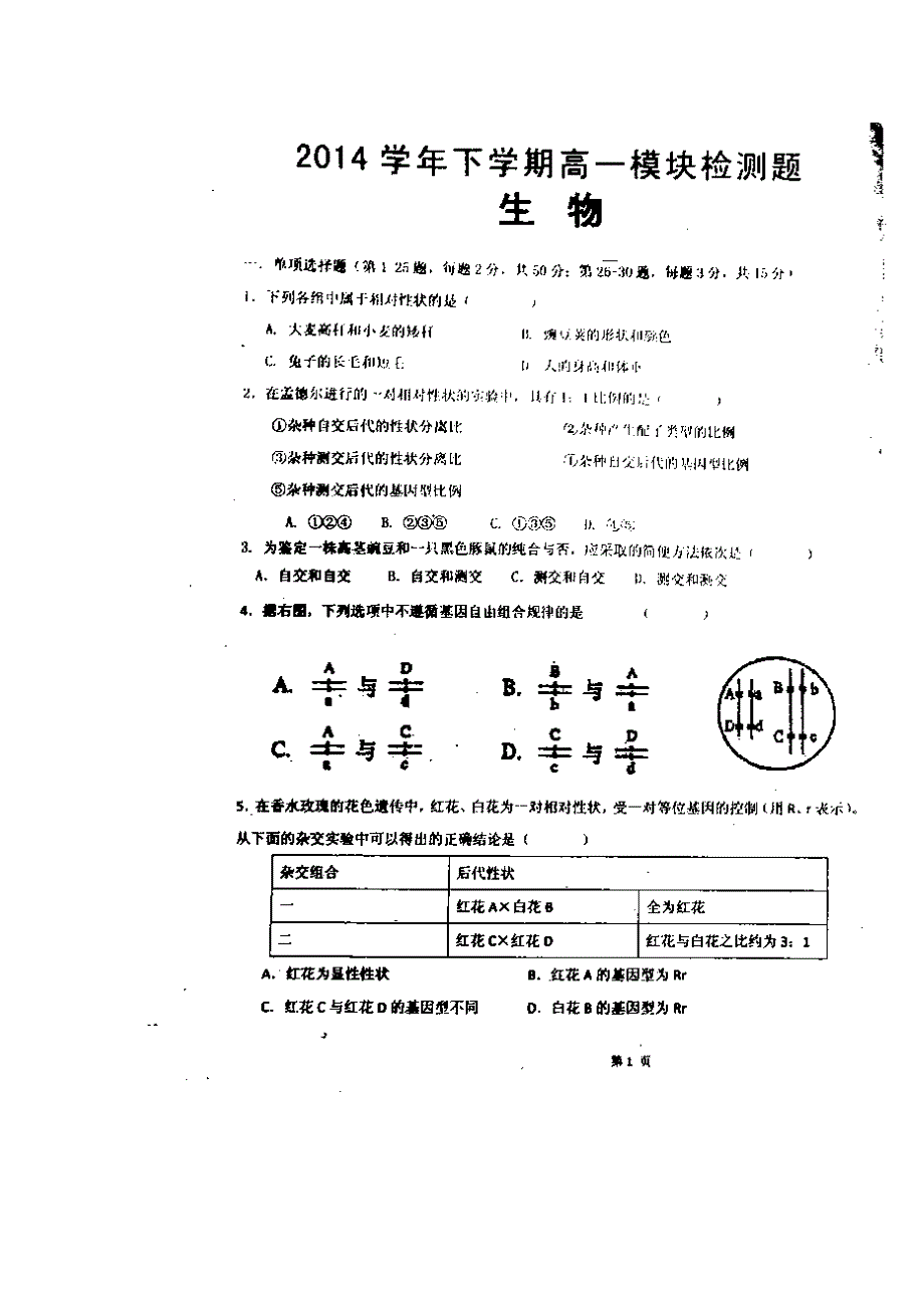 广东省顺德区郑裕彤中学2014-2015学年高一下学期期中考试生物试题 扫描版无答案_第1页