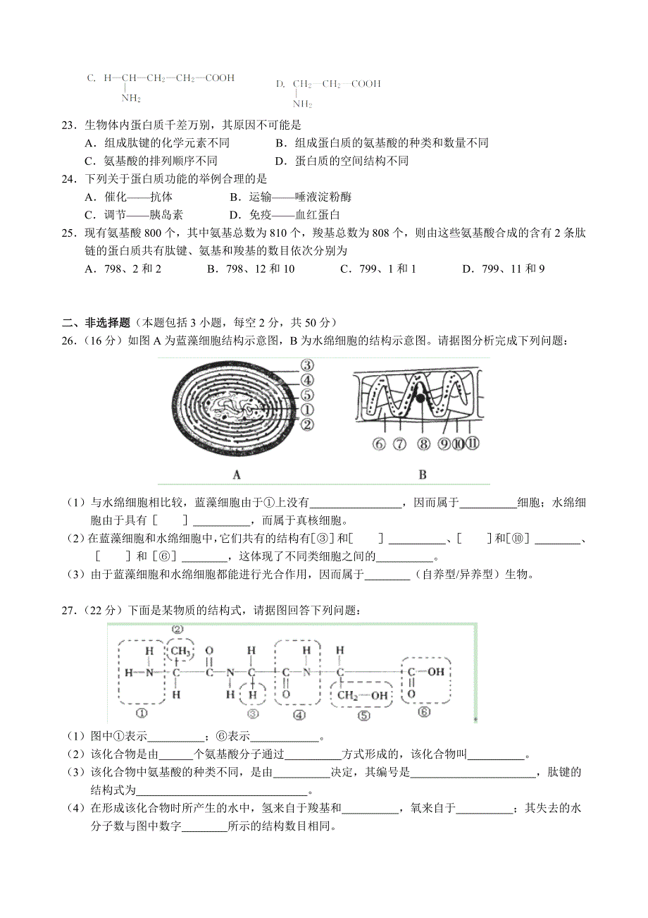 广东省惠州市实验中学2012-2013学年高一上学期期中生物试题 含答案_第3页