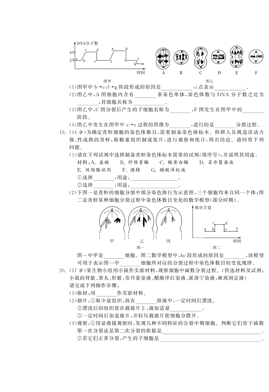 第一、二章综合提优测评卷B卷·高中生物国苏版必修2-特训班_第4页