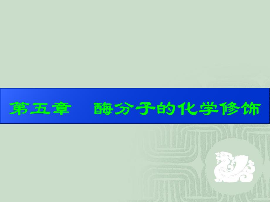 酶工程 5  化学修饰_第1页