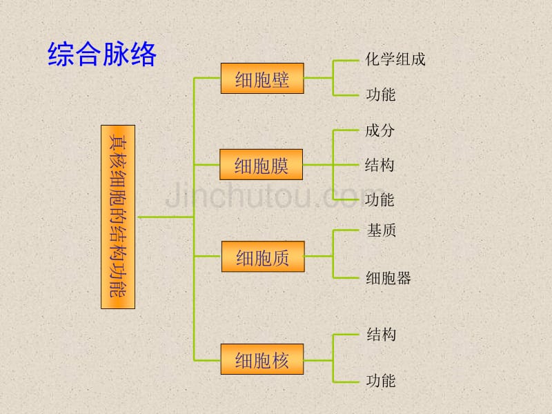 生物化学-细胞结构高中复习版_第2页