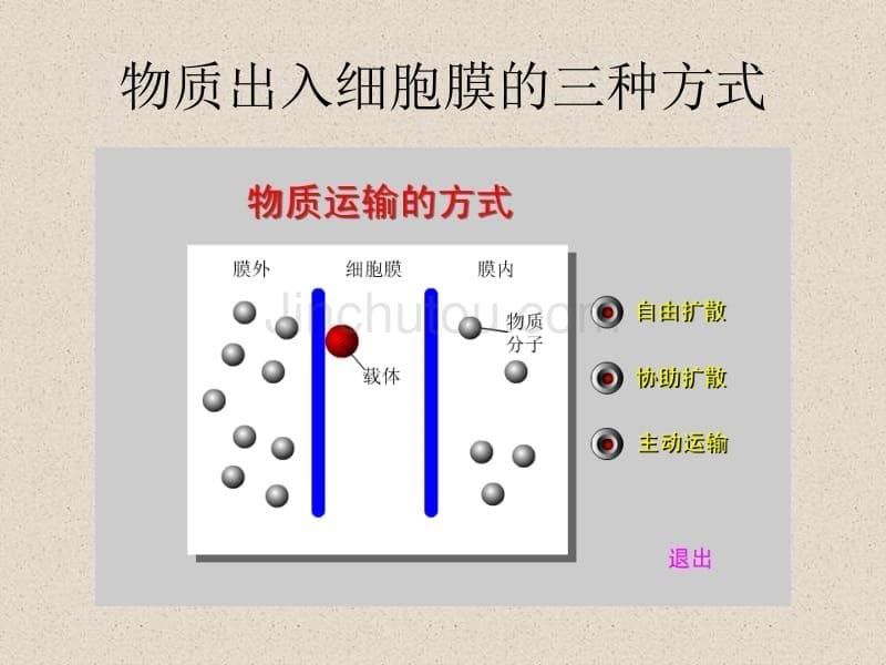 生物化学-细胞结构高中复习版_第5页