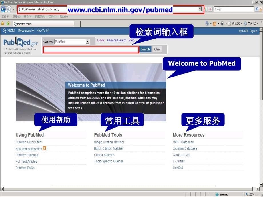 文献检索pubmed讲解资料_第5页