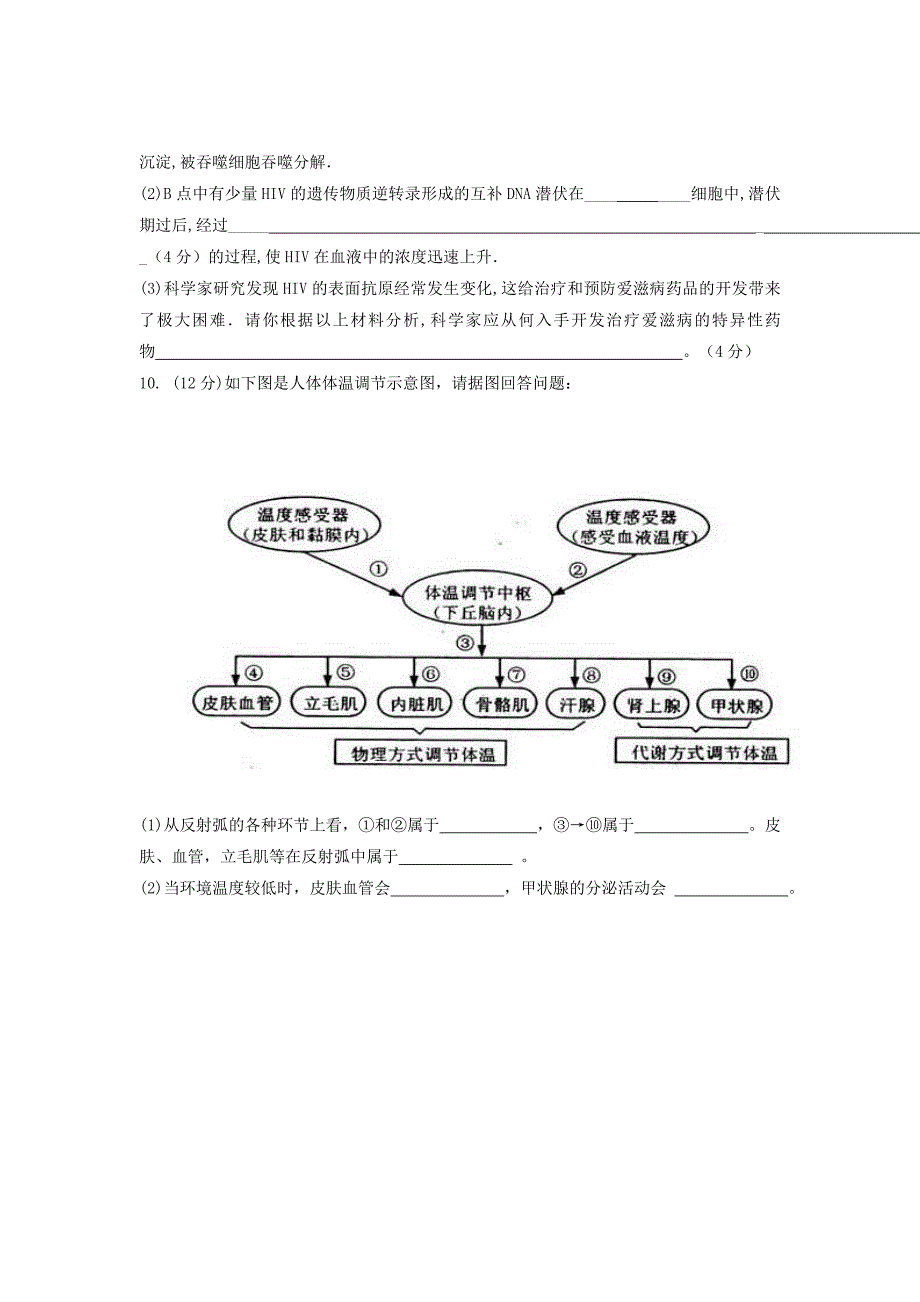 广东省梅县2011-2012学年高二上学期第二次段考生物试题_第3页