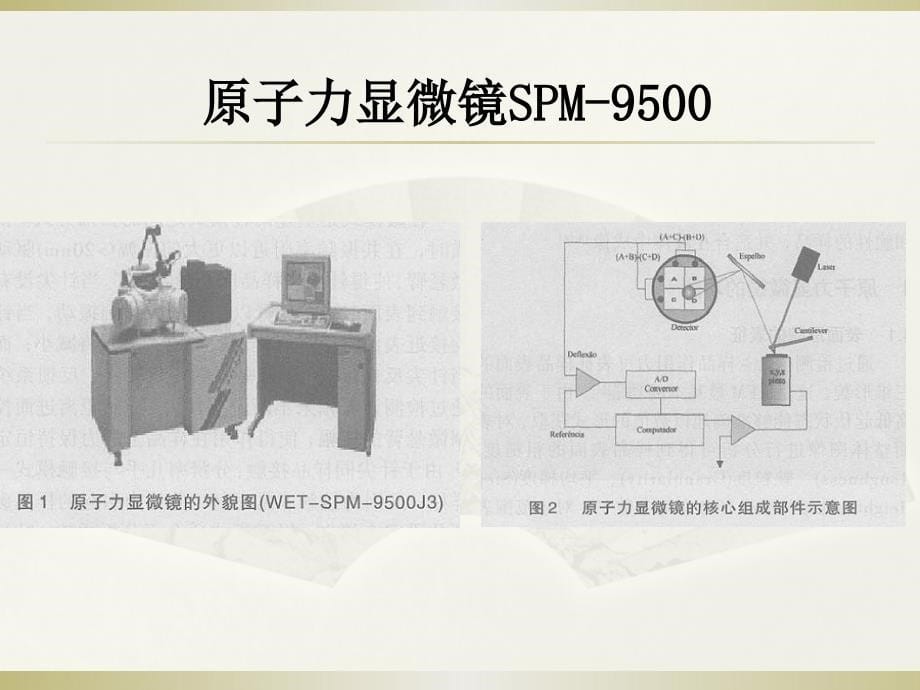 岛津SPM-9500原子力显微镜原理及操作流程_第5页