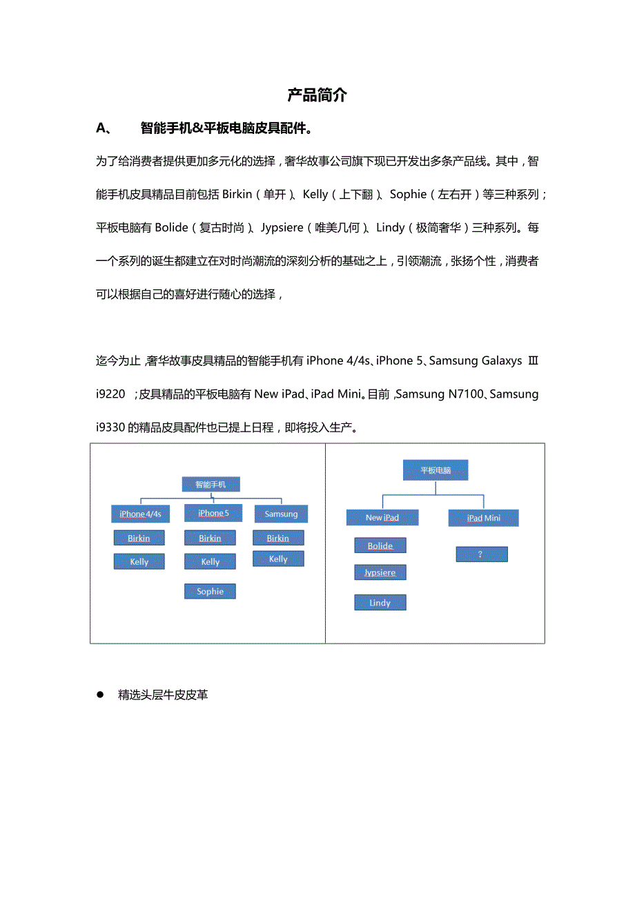 奢华故事(Luxury Story)产品简介_第1页