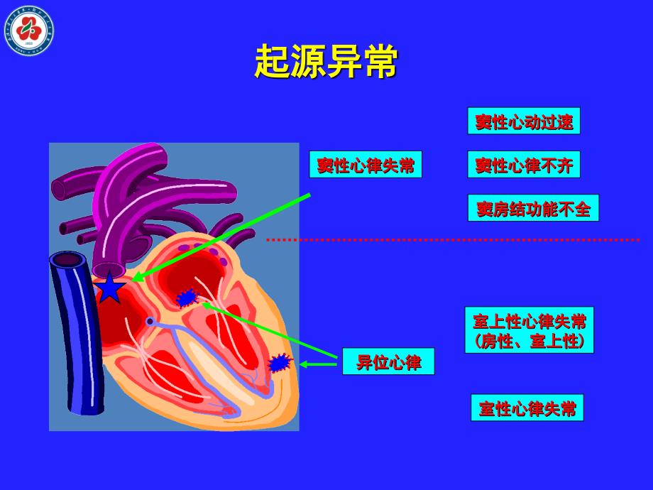 整合调节心律失常药物干预新策略-专家_第4页