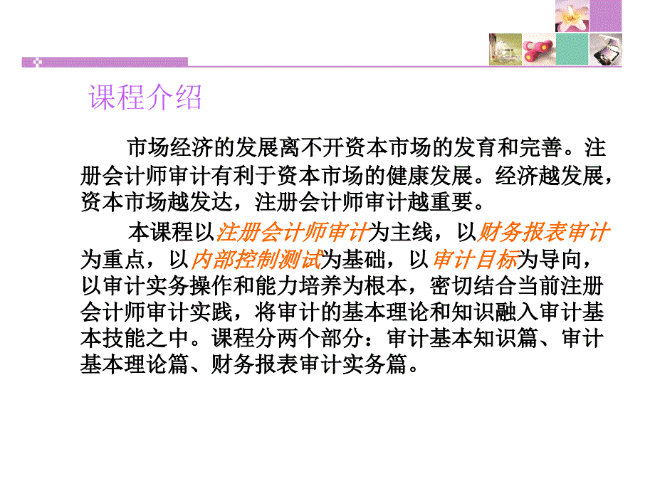 审计学1(含案例与例题参考教材董小红版)_第2页