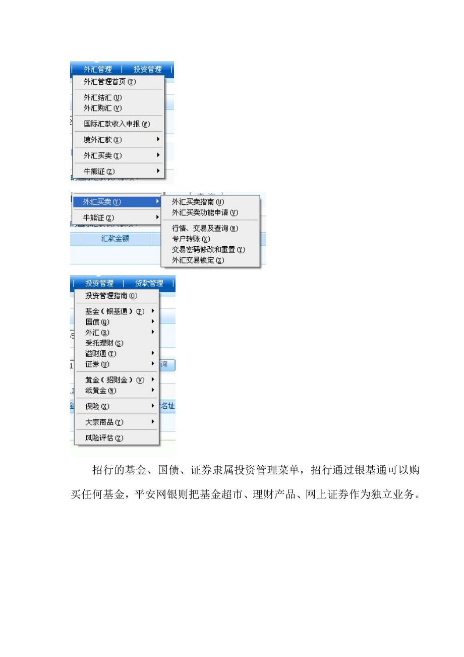 招商银行网银分析报告终极版_第4页